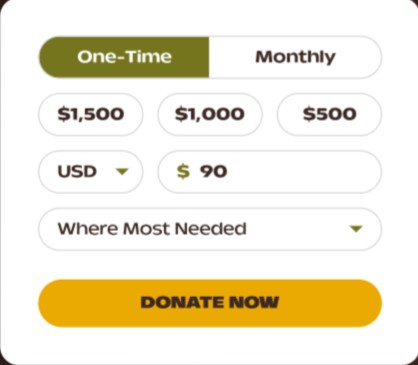 donation-form